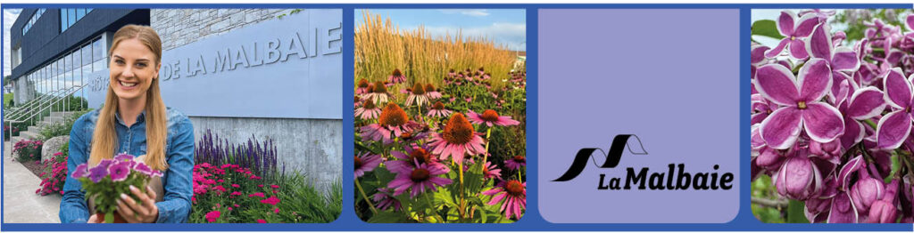 prepose entretien horticulteur entete 202604 ville de la malbaie 1024x262 Emplois disponibles